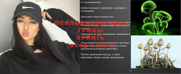 прущая мука Надым