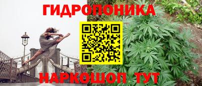 СК Магнитогорск