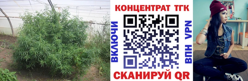 Дистиллят ТГК концентрат  Новосибирск 