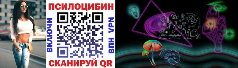 mega зеркало  Новосибирск  Галлюциногенные грибы Psilocybe 