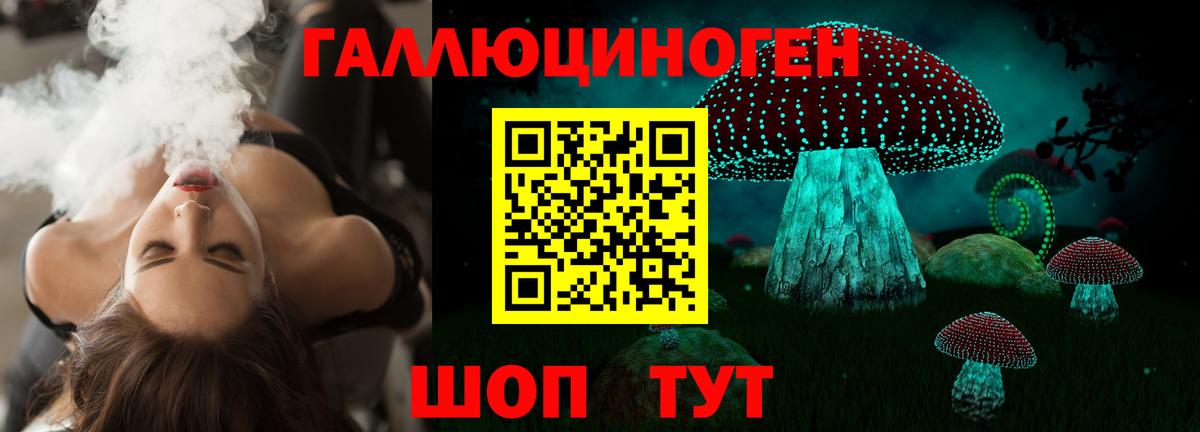 где купить наркоту  Вход с VPN  Новосибирск  Псилоцибиновые грибы Cubensis  Псилоцибиновые грибы Psilocybe 